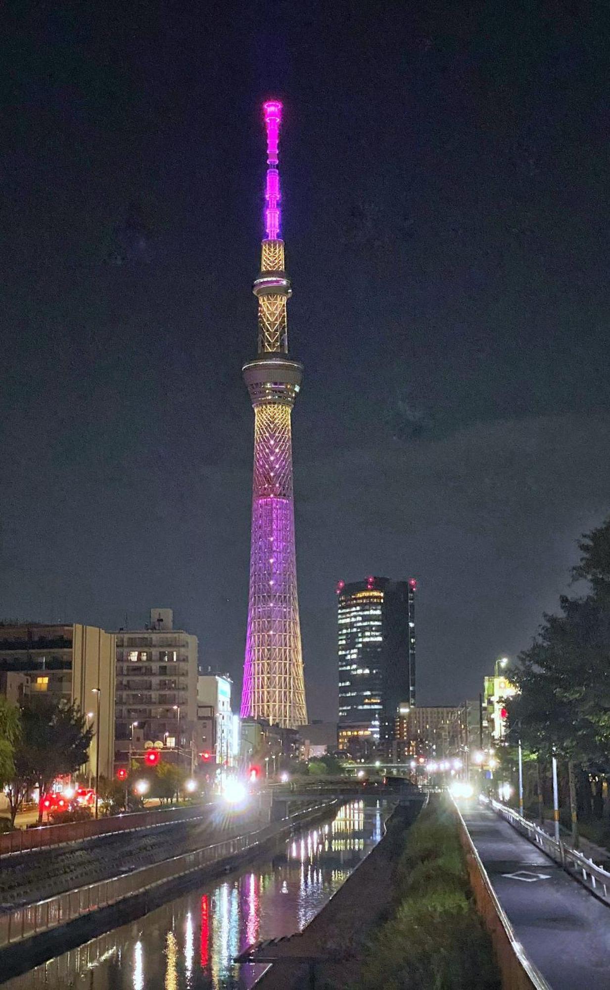 Tokyo Sakura Hotel Eksteriør bilde